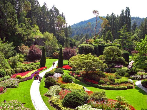butchart gardens