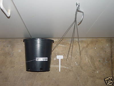 Hanging Pot And Tags 3 Qty.