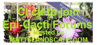 EPI CACTI FORUMS CLICK HERE