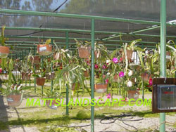 san diego wild animal park epi club