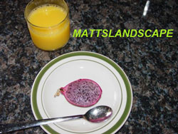 hylocereus fruit to eat