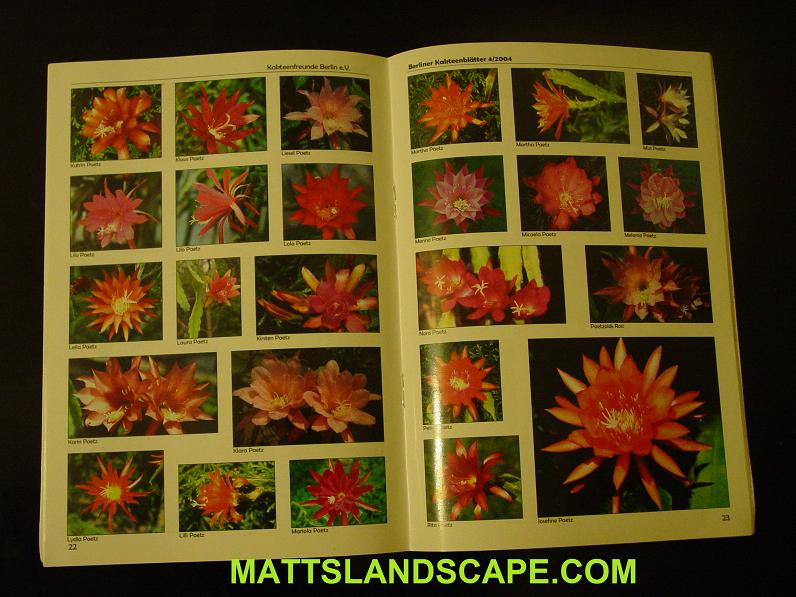 Helmut Peatzold Catalog