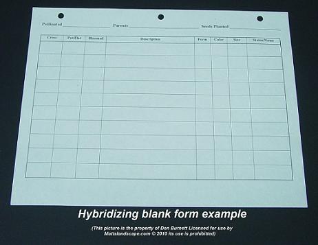 epiphyllum hybridizers form db