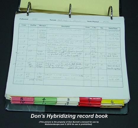 epiphyllum record book db