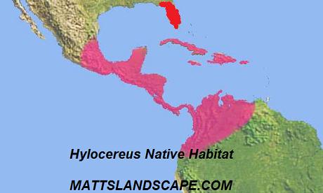 Hylocereus Native Habitat Map