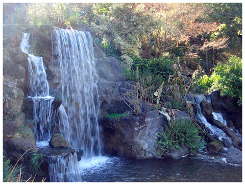 LA ARBORETUM WATERFALL MATTSLANDSCAPE.COM