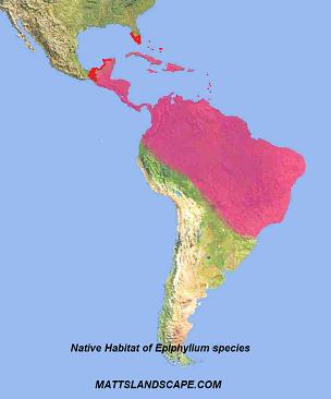 Map of native habitat of Epiphyllum Species in the nothern hemisphere