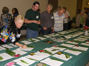 Epicon XII Silent epiphyllum auction 
