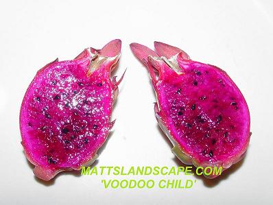 voodoo child 3 fruit