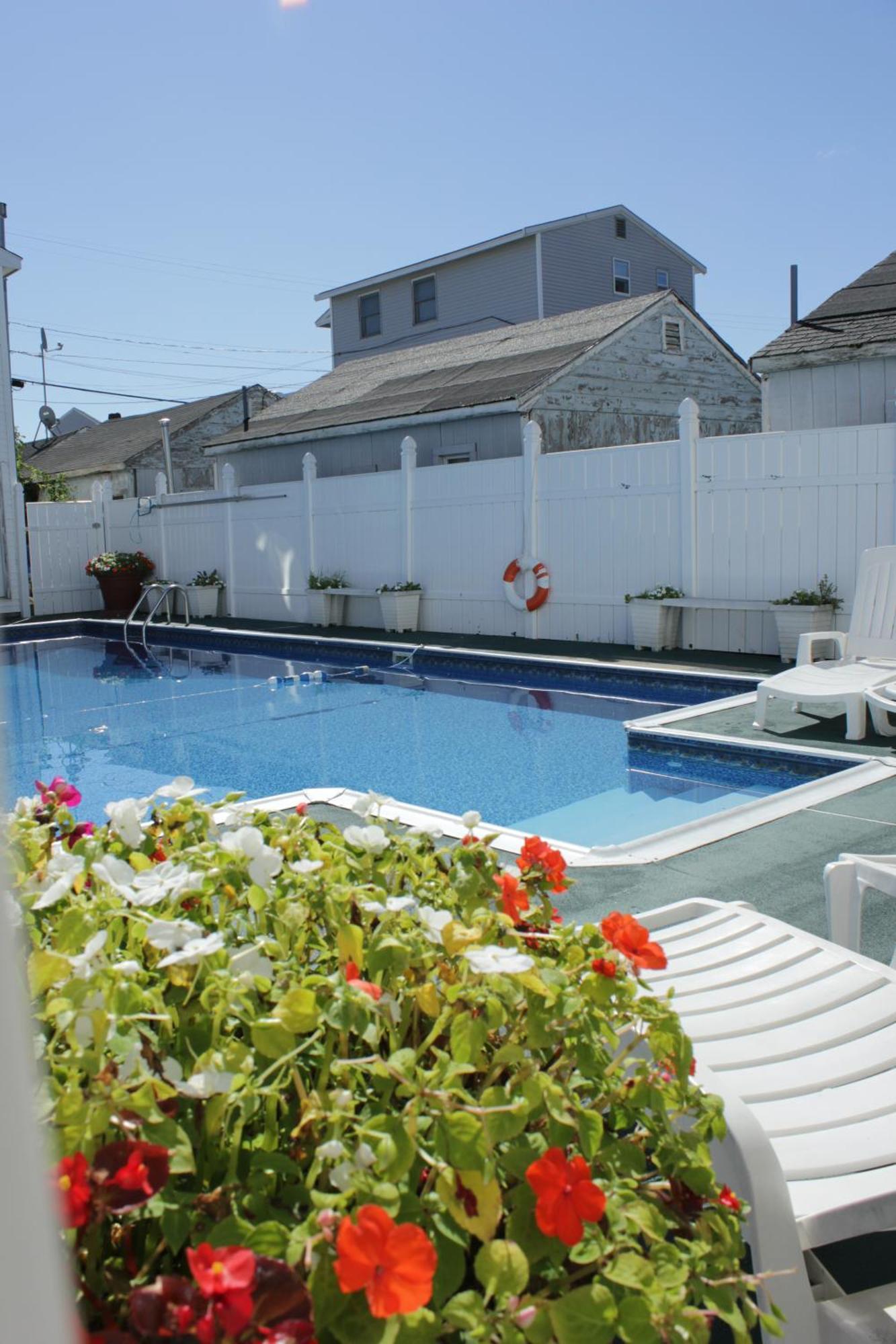 Where to Stay Near Fiesta Shows: 4 Budget Hotels Ranked