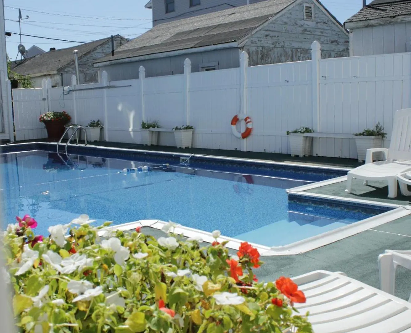 Where to Stay Near Fiesta Shows: 4 Budget Hotels Ranked